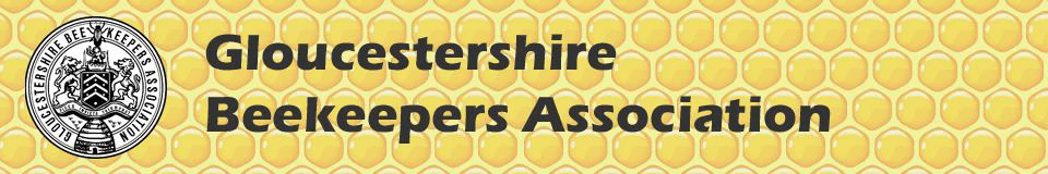 The GBKA Spring lecture day, Honey Show and&nbsp;AMG