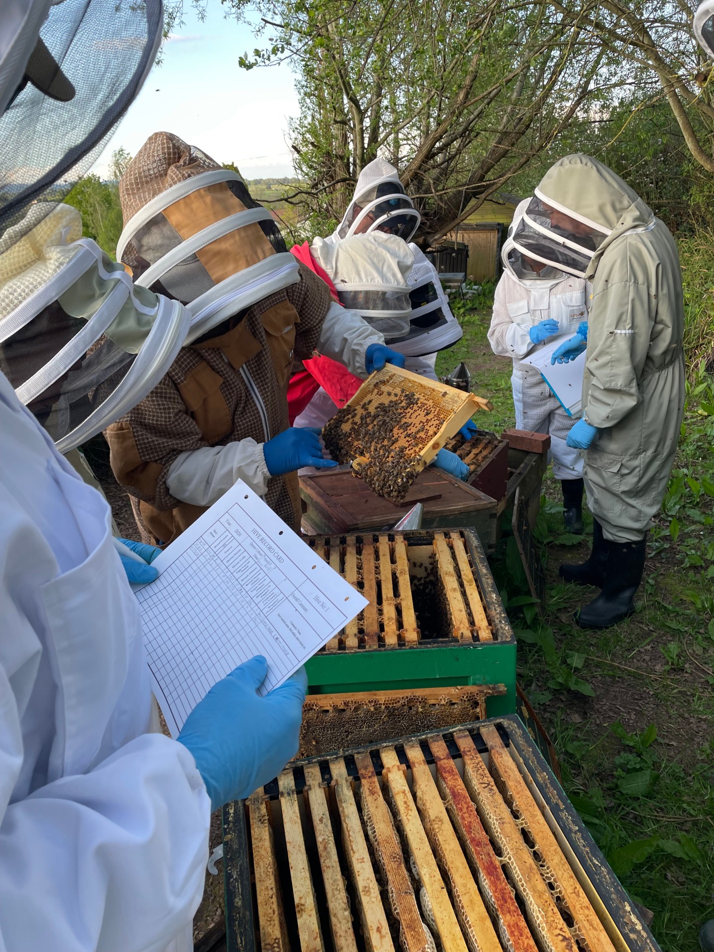 Newent Beekeepers Taster Day 8th August 2026 – Newent Branch of ...